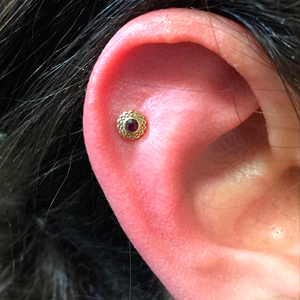 Scapha piercing with gold top