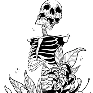 Skeleton with chrysanthemum