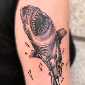 Realism shark
