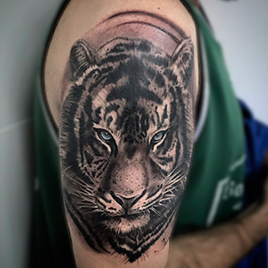 Realism tiger