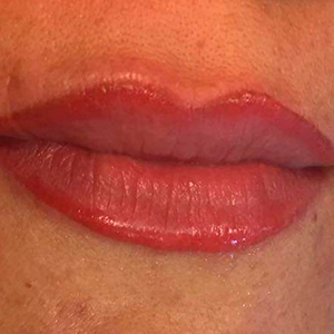 Magenta terracotta lips outline and Shading