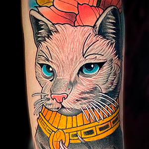 Neotraditional cat